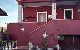 Pinagerardoholiday